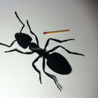 Fabric Ant