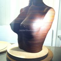 Layered Timber Sculpture