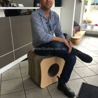 Cardboard Chair